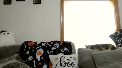 anne online show from 10/28/25, 01:47