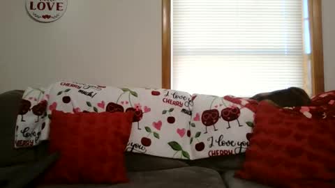 anne online show from 01/12/26, 05:40