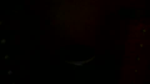 Snapshot of annecharlie chatting on 11/30/25, 07:56 annecharlie online show from 11/30/25, 07:56