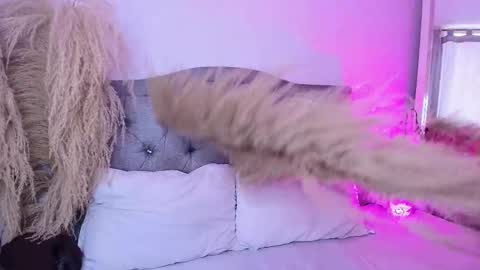 annie_20_ online show from 03/27/26, 05:23