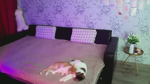 Snapshot of anny_shine chatting on 12/16/24, 04:23 Annie online show from 12/16/24, 04:23