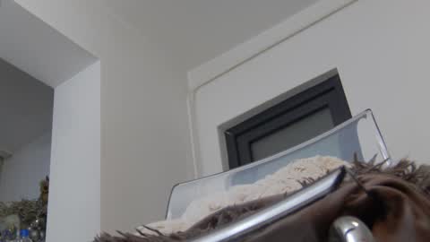 Anna online show from 12/02/24, 08:41