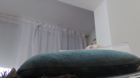 Anna online show from 01/20/25, 10:07