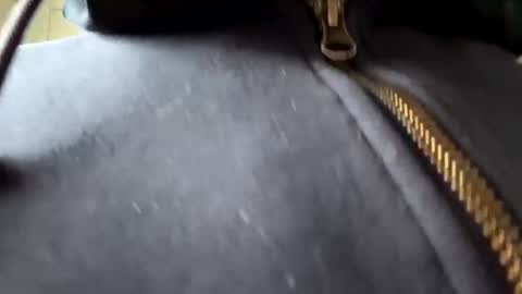 anonomousloser online show from 01/06/25, 02:36