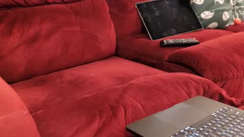 D online show from 02/20/26, 12:05