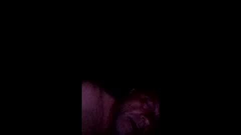anthony9168 online show from 05/16/26, 08:55