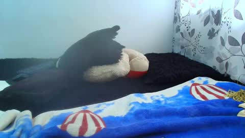 Snapshot of antonella0769 chatting on 02/05/25, 05:09 ANTONELLA WILLIAM INDEPENDIENTE online show from 02/05/25, 05:09