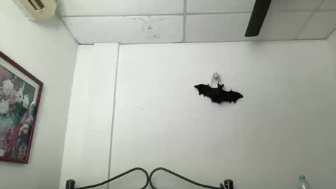 Antonia online show from 12/05/24, 03:28