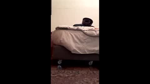 antonino85 online show from 02/10/26, 05:17