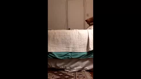 antonino85 online show from 03/19/26, 11:09