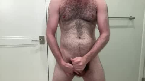 Snapshot of antonioxgambino chatting on 12/01/24, 09:37 The Bush King online show from 12/01/24, 09:37