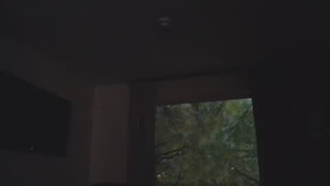 Daddy online show from 11/05/25, 01:38