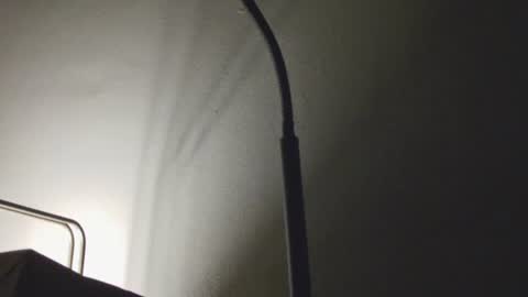 Daddy online show from 01/09/26, 07:44