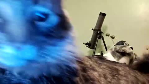 Snapshot of aphrodite60 chatting on 01/12/25, 06:28 Aphrodite60 online show from 01/12/25, 06:28