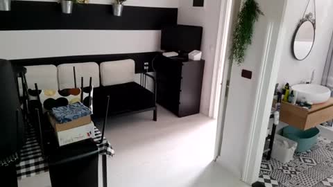 apollobest77 online show from 01/19/25, 12:17