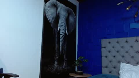 Snapshot of apolo_klein1 chatting on 02/14/25, 06:56 Apolo online show from 02/14/25, 06:56