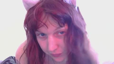 Snapshot of april_kitty chatting on 03/31/26, 03:08 april_kitty online show from 03/31/26, 03:08