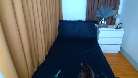 Snapshot of arabella_califa chatting on 03/09/25, 12:21 ARABELLA online show from 03/09/25, 12:21