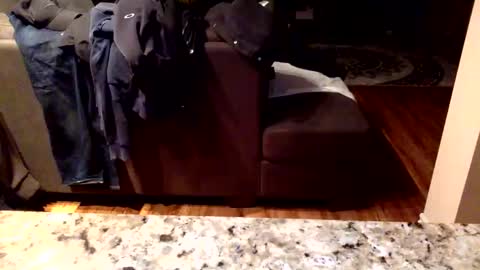 Knowledgeiskeyy online show from 01/16/26, 10:19