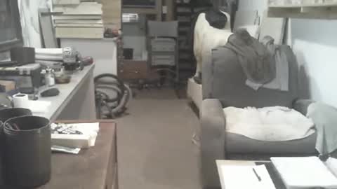 arealshowoff online show from 04/16/26, 03:24