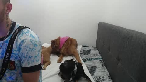 ariana_esteban07 online show from 02/06/26, 10:29