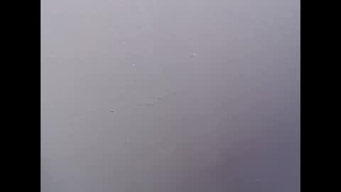 ariannaloovel online show from 04/27/26, 05:55