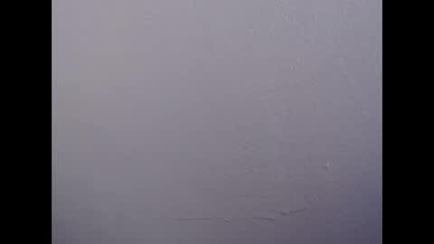 ariannaloovel online show from 04/28/26, 10:04