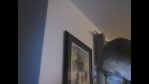 ariens online show from 01/14/25, 06:45