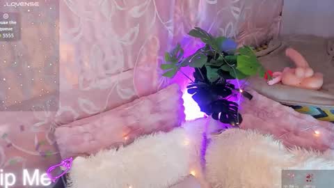 ARII VEGA online show from 11/15/25, 05:05