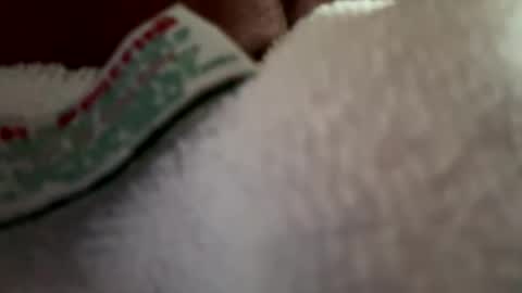 Snapshot of arley1966 chatting on 04/02/26, 11:46 arley1966 online show from 04/02/26, 11:46