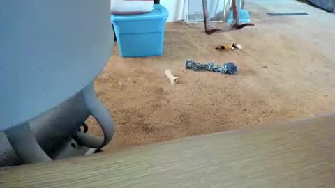 Snapshot of armalite16 chatting on 10/12/25, 01:32 armalite16 online show from 10/12/25, 01:32