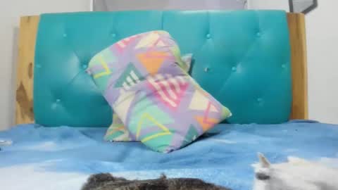 armanidark online show from 09/15/25, 02:11