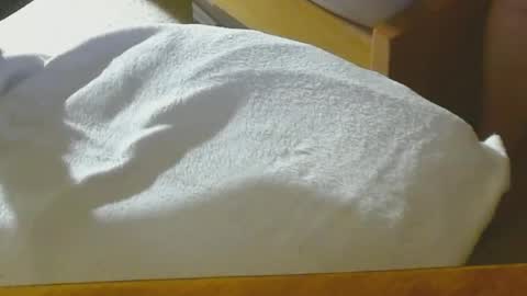 Arnie  online show from 12/22/24, 08:47