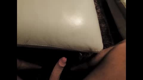 arnoldia343515 online show from 02/02/26, 09:35