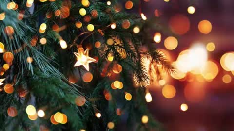 Snapshot of artanm2 chatting on 12/23/24, 06:16 natra online show from 12/23/24, 06:16