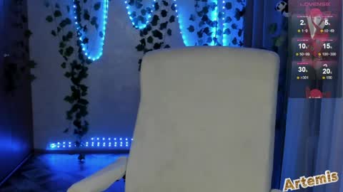 Snapshot of artemis696 chatting on 06/03/26, 05:51 Artemis my pvt is open and lovense is active online show from 06/03/26, 05:51
