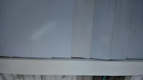 FENIX online show from 11/25/25, 03:06