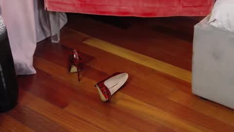 Aryana online show from 09/29/25, 05:34