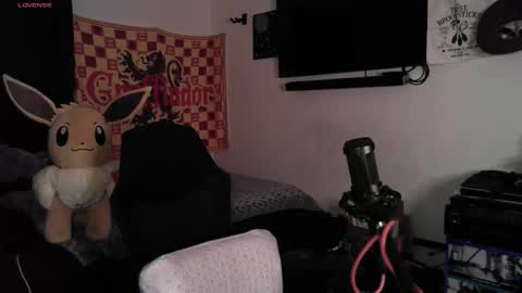 devilPup75 online show from 01/13/26, 06:40