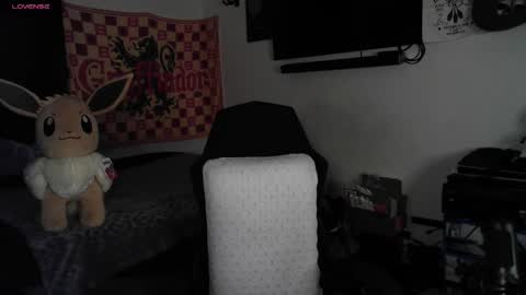 devilPup75 online show from 01/14/26, 02:17