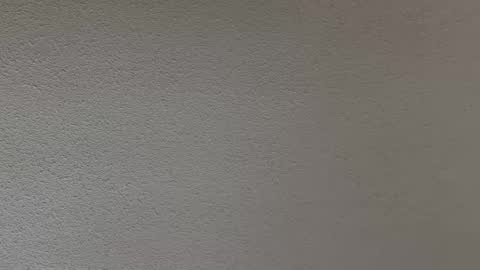 ash123400000 online show from 02/12/26, 10:27