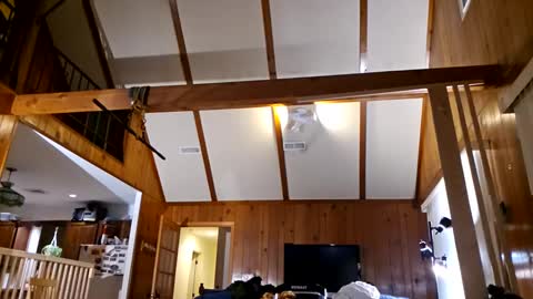 Snapshot of ashelynngrey1986 chatting on 02/27/25, 02:21 Ashelynn Grey online show from 02/27/25, 02:21