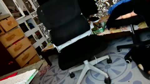 Trish online show from 12/01/25, 06:07