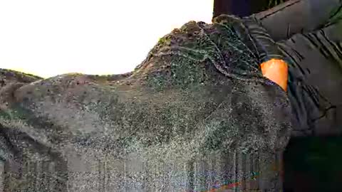 Snapshot of assiology11 chatting on 03/12/25, 08:41 Assiology online show from 03/12/25, 08:41