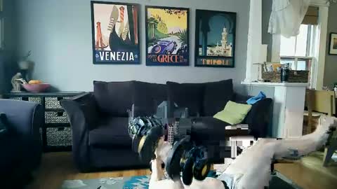 assmaster_6100 online show from 02/11/25, 08:52