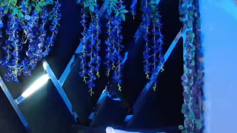 Snapshot of aurora18palmer chatting on 09/18/25, 02:19 aurora online show from 09/18/25, 02:19