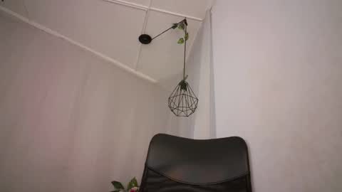 Aurora ath online show from 12/20/24, 10:38