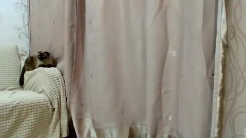 Kiara Xanthe online show from 02/25/26, 02:48