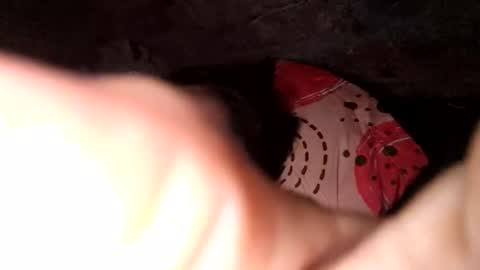 auroraangels1 online show from 04/01/26, 02:01