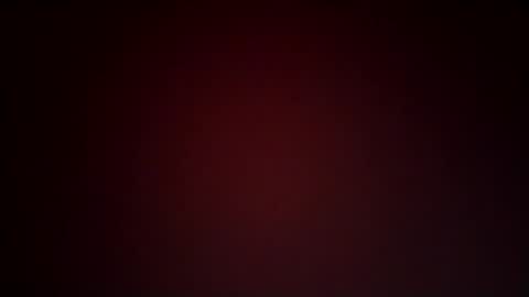 Lex online show from 01/25/25, 10:50